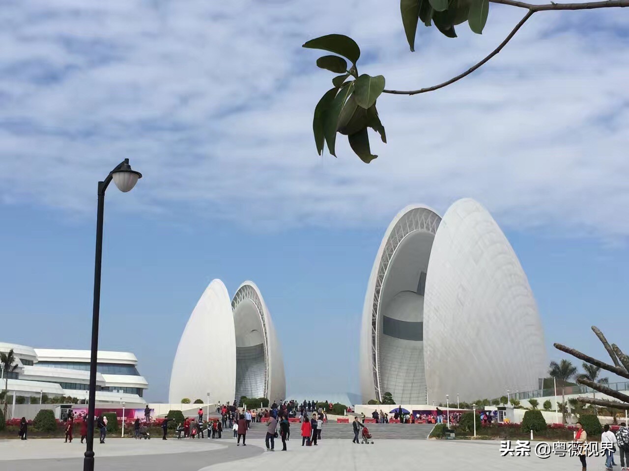 珠海野狸岛风景图片,珠海野狸岛夜晚好漂亮