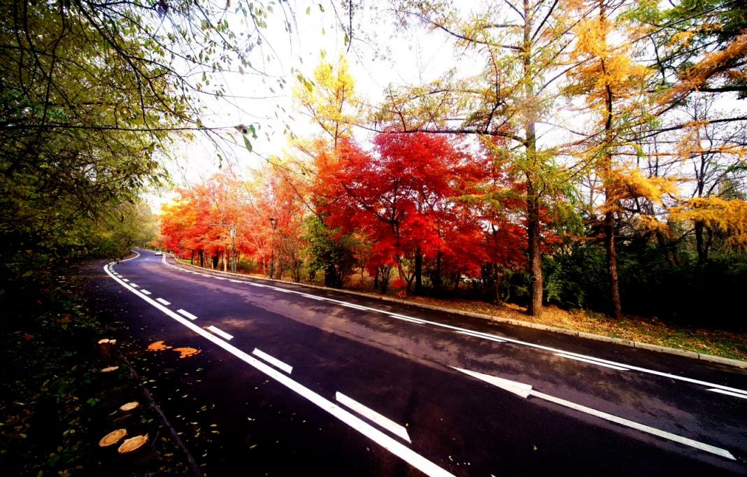 沈阳植物园一日游攻略图,沈阳植物园一日游详细攻略