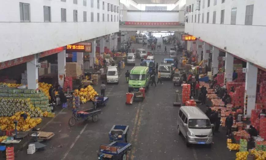 日本青提一串多少钱,日本进口青提糖