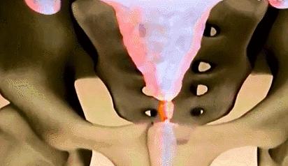 每一个都那么拼命前进，我们还好意思去选择性别吗？