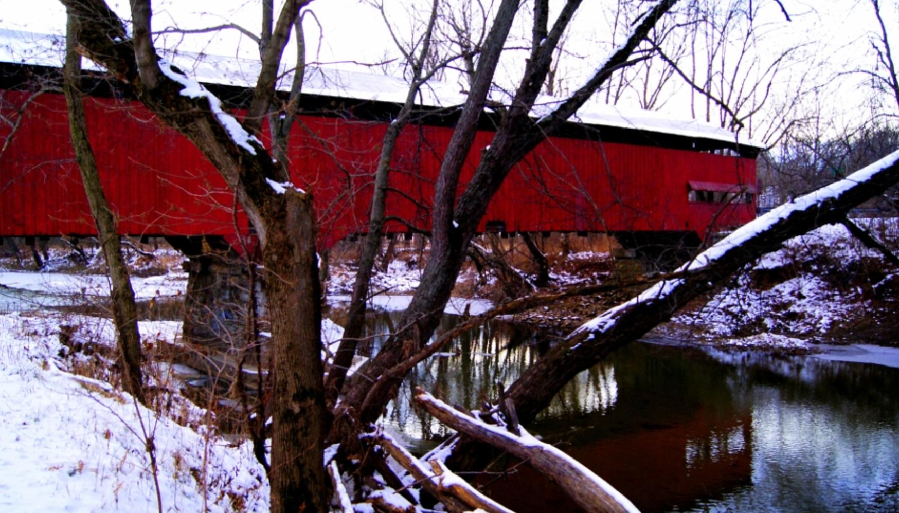 美国车牌为什么那么多图案,为什么有人取车牌