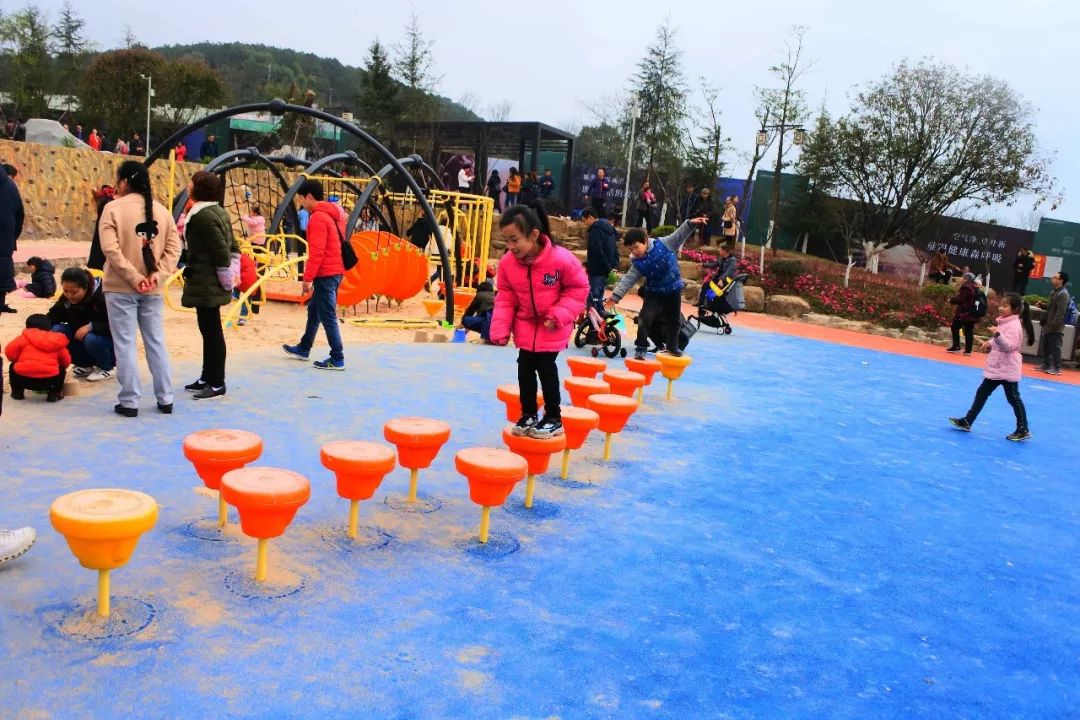 重庆铁山坪森林公园有什么好玩的,重庆赏花一日游最佳去处