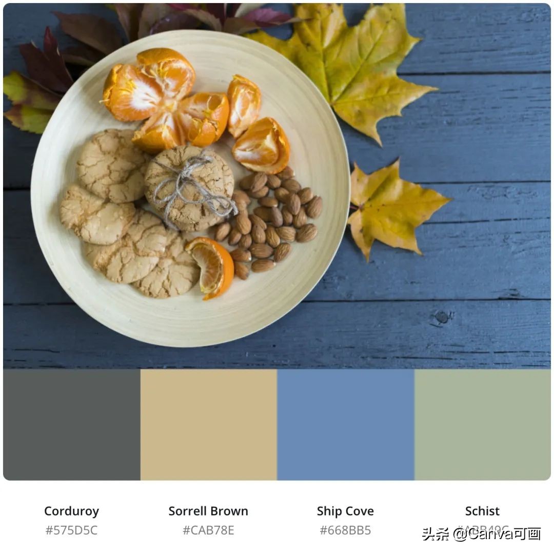 秋天配色插画秋高气爽,秋季高清插画