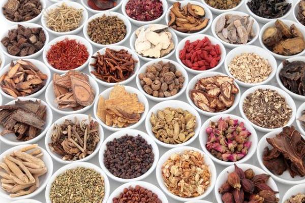 学中医识中药方法,学中药懂中药用中药必看