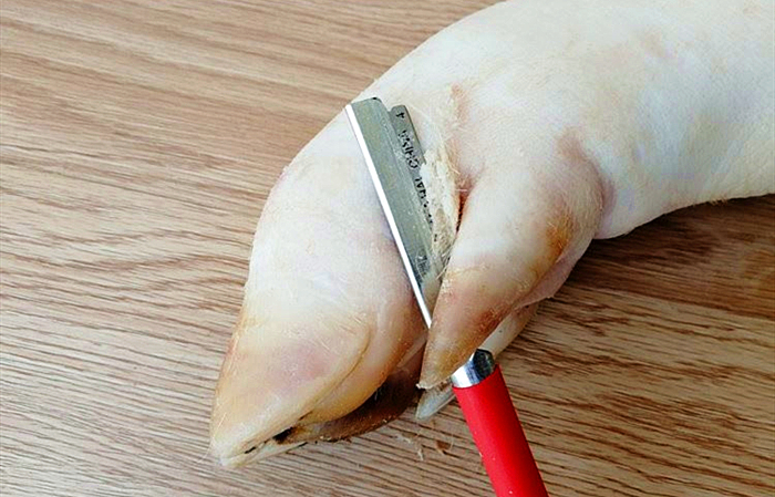 猪皮上有黑色猪毛根怎么去除,猪皮上的猪毛还有猪油怎么处理