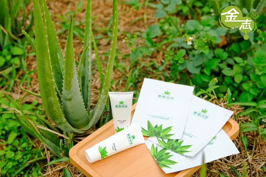 跨越20年的芦荟情谊