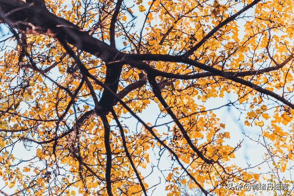 银狐洞风景区旅游路线攻略,游银狐洞