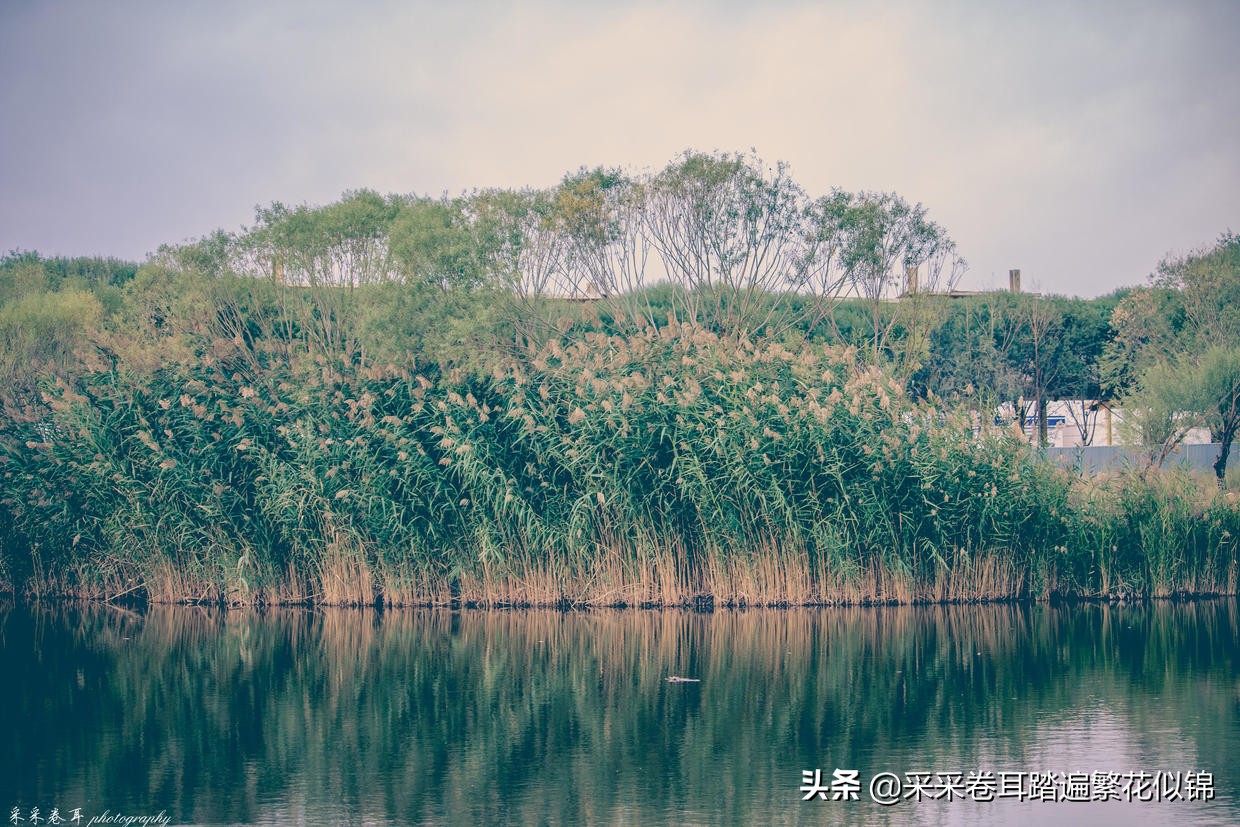 慢游景点,博斯腾湖景点打卡