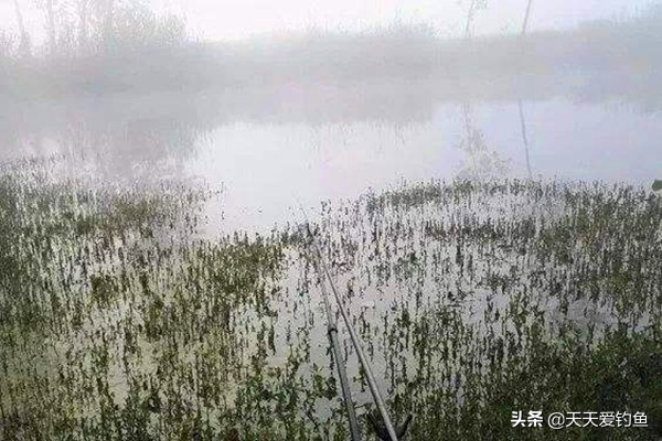 冬天钓鱼技巧与饵料,秋季钓鱼不上钩怎么回事