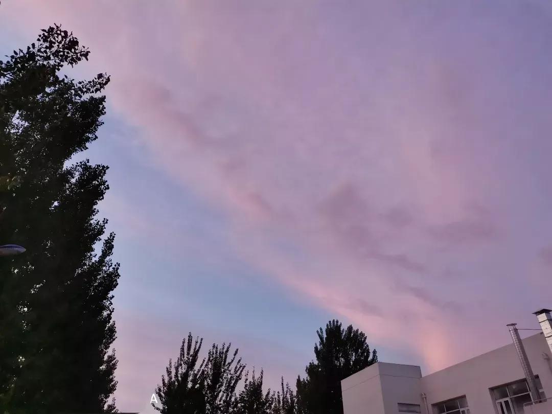 天津市独立院校（四）天津财经大学珠江学院