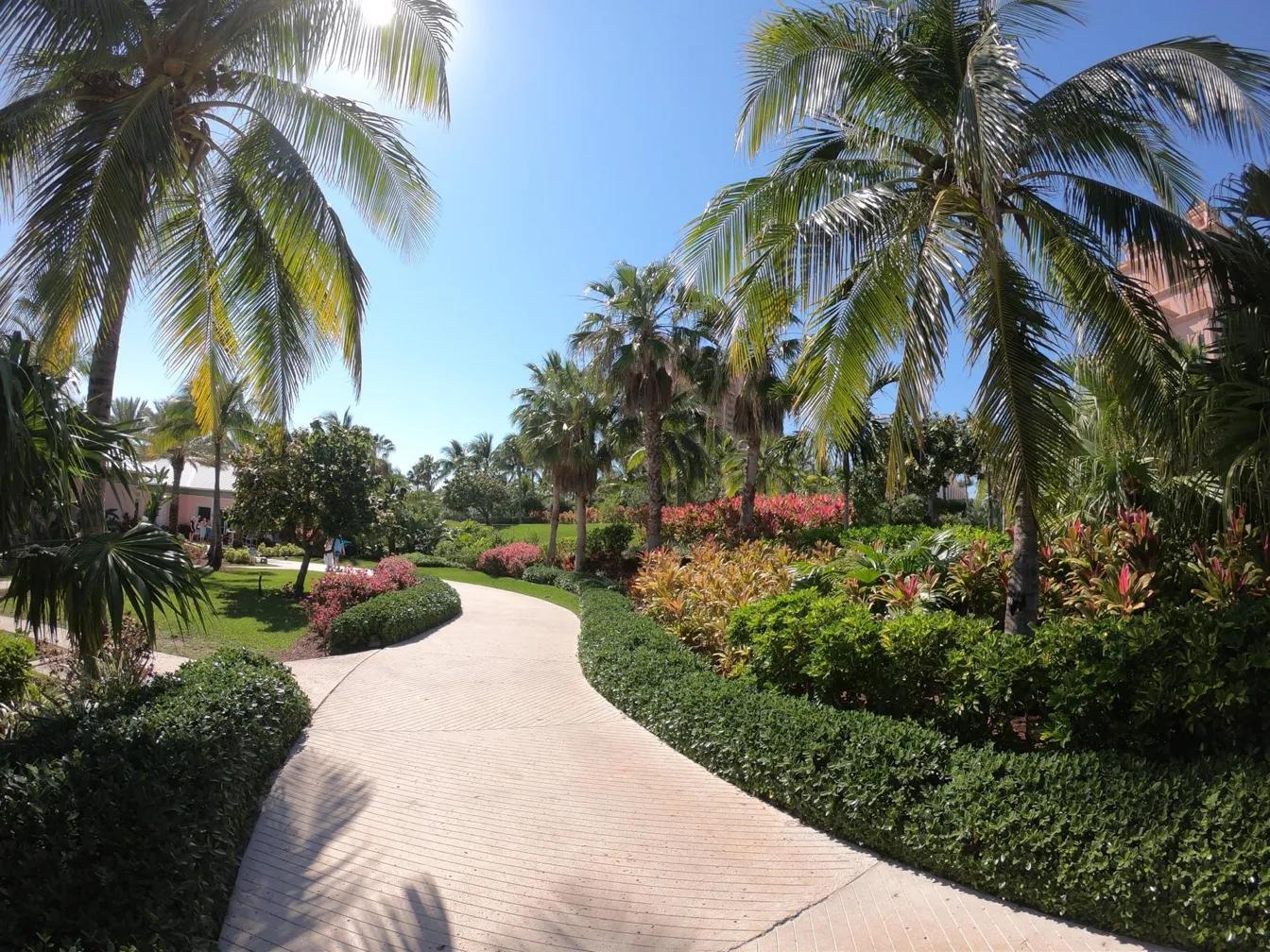 巴哈马粉色沙滩攻略,巴哈马粉沙滩