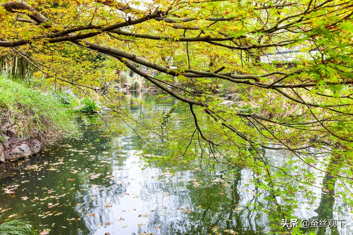 中国名城杭州的故事,中国名城古称