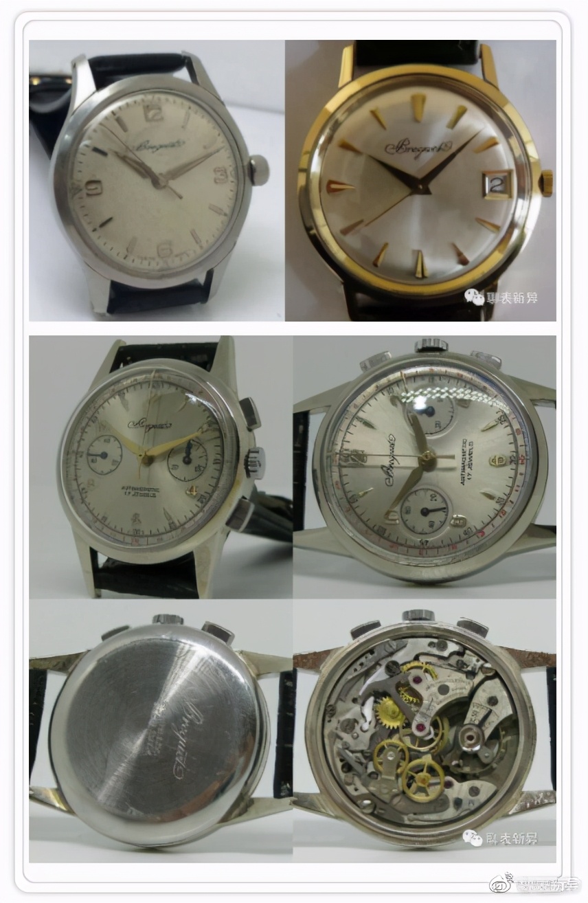 百里鸽,百里乳鸽