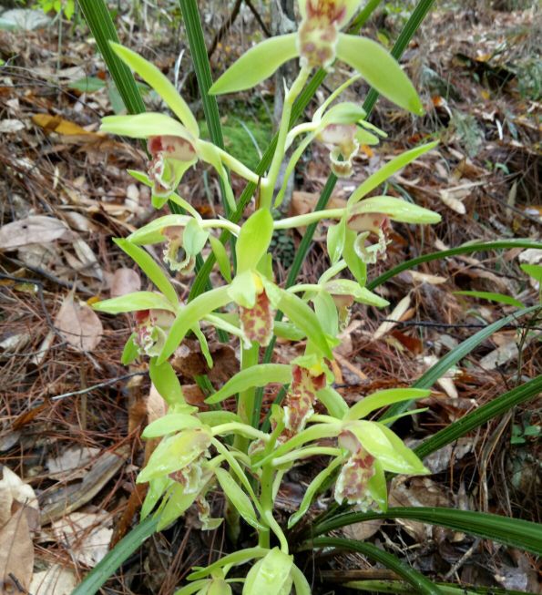 魂牵梦绕的地方是家乡完整版,魂牵梦绕的地方