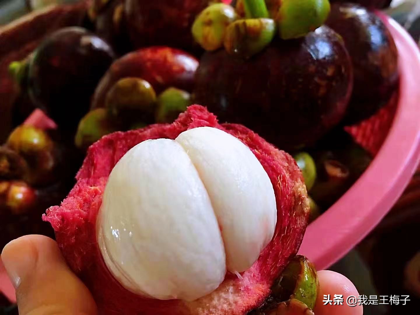 山竹保存是冷藏还是常温,山竹怎样保存最好能放多少天