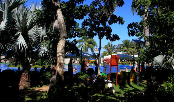 我的海南之旅作文,从海口到三亚感受海南的无限魅力