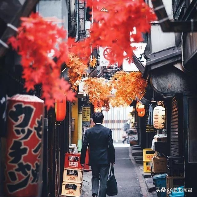 日本摄影师rk镜头下的中国,日本摄影师镜头下的夜晚公园