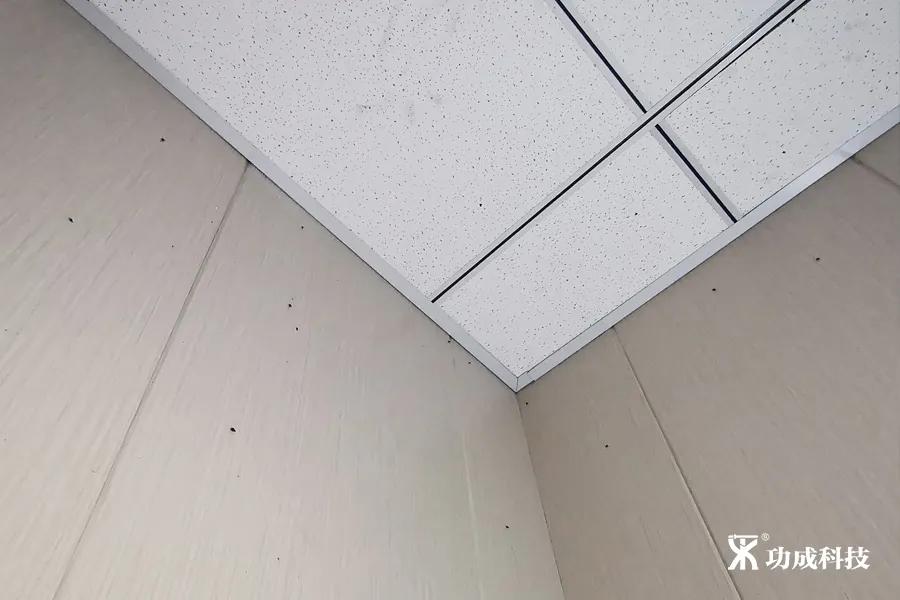 卫生间有小虫蛾蚋怎么治,卫生间出现蛾蚋怎么处理