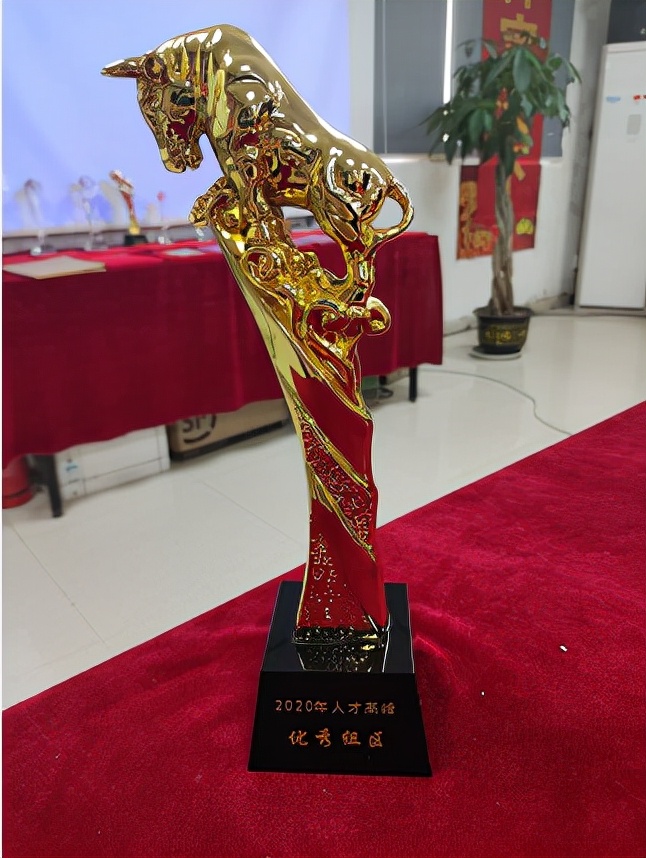 中国平安保险股份有限公司阜阳分公司主管李沙沙——专业体现价值