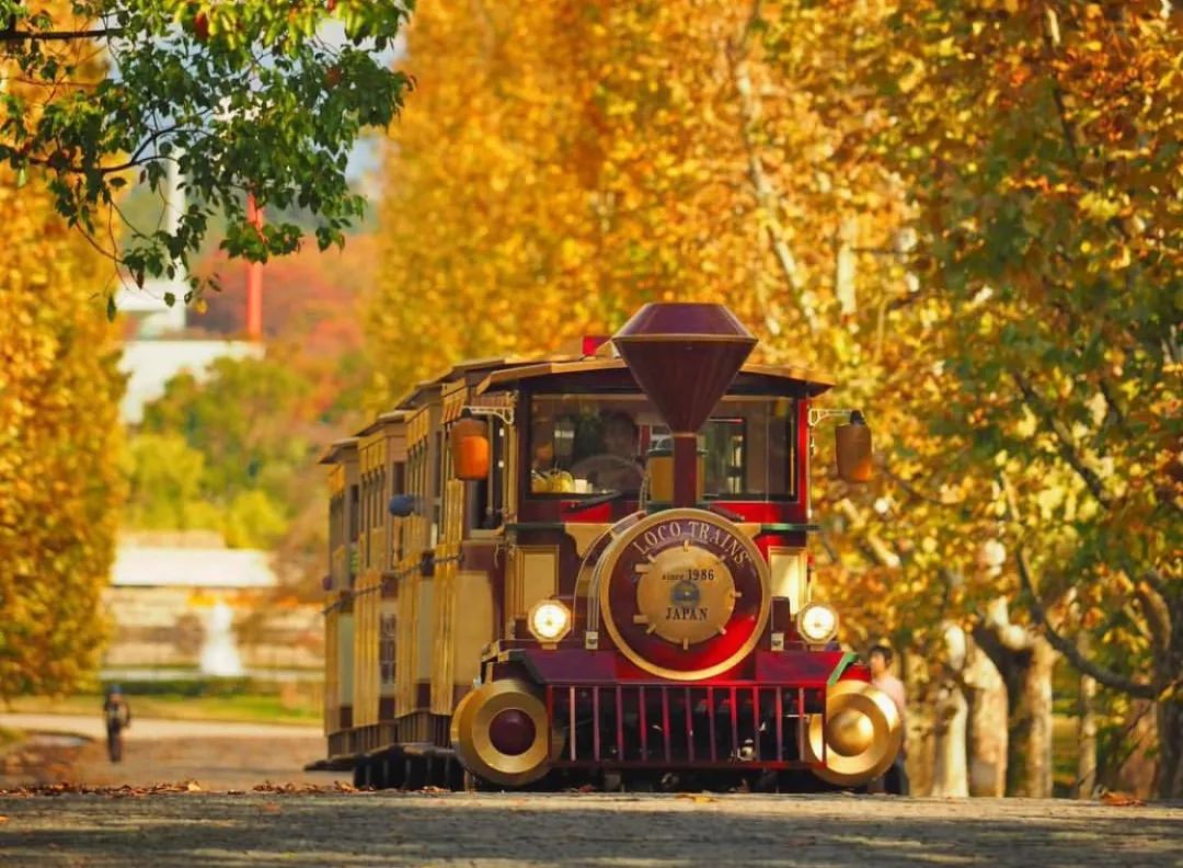 大阪攻略自由行,看惯了千篇一律的高楼大厦