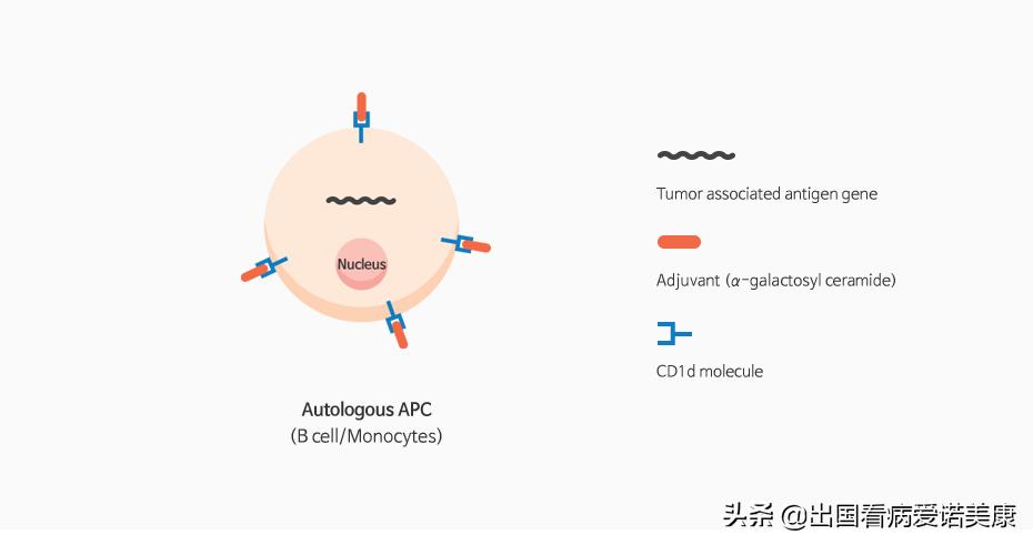 美国进口的宫颈癌疫苗能接种吗,进口宫颈癌疫苗预防率