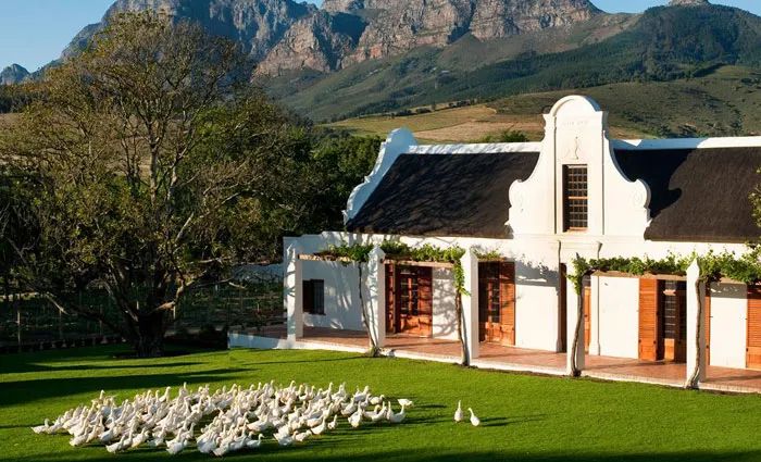 天阶庄园天诚西拉,天阶庄园官网