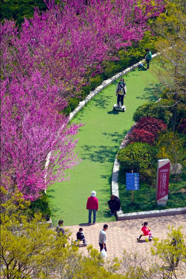 面朝大海春暖花开的背景音乐,面朝大海春暖花开歌曲
