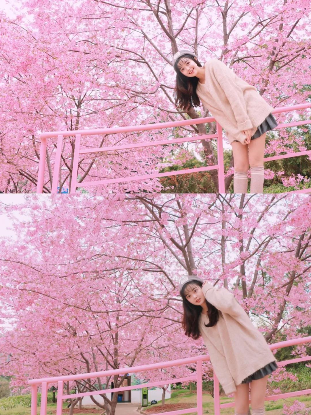 成都春游好去处周末 (成都周边周末春游推荐)