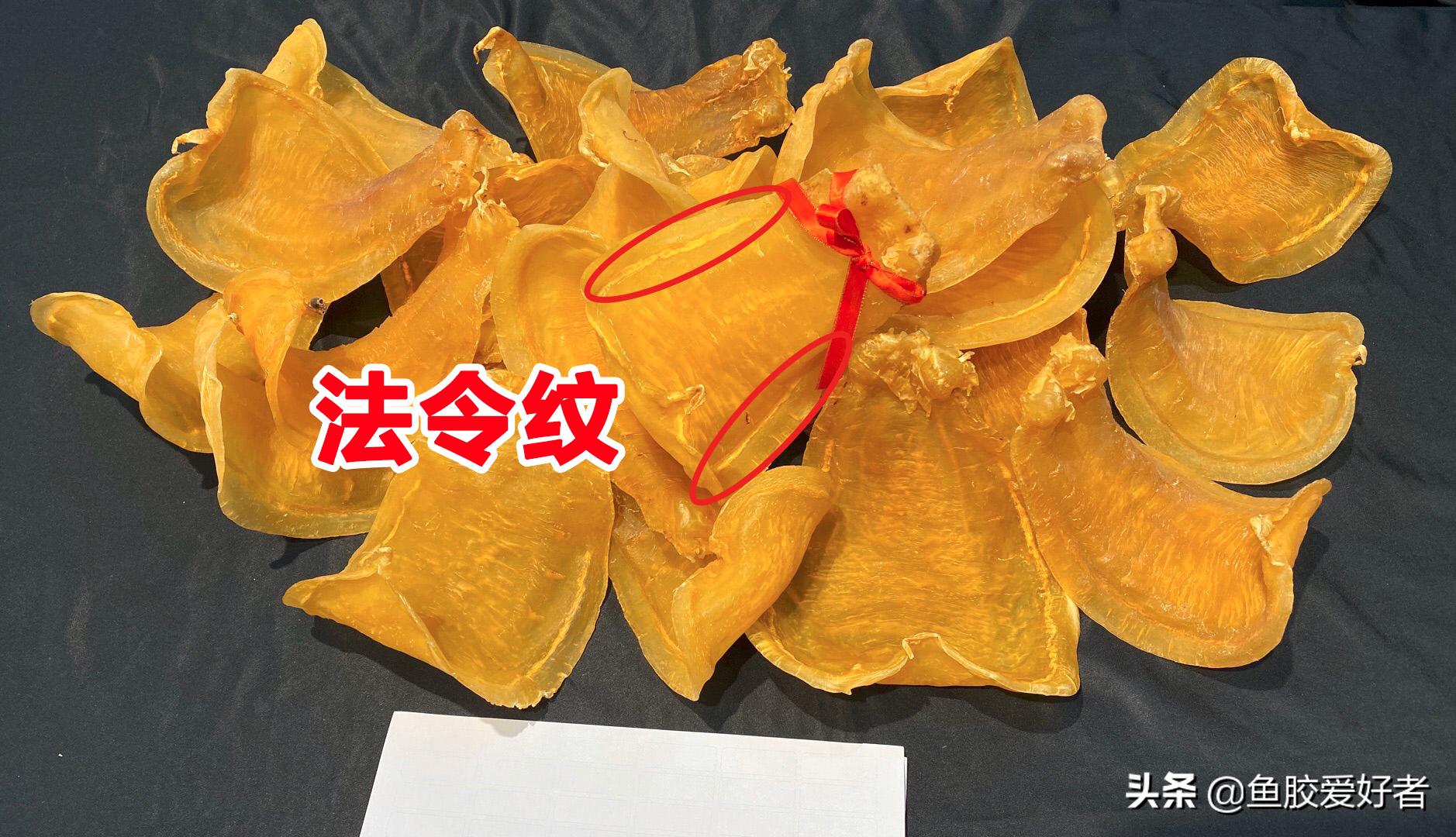 鳘鱼胶有哪些品种,赤嘴鱼胶哪个品种比较补血