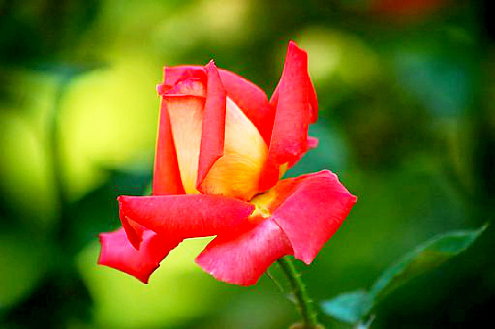 比较饱含深意的个性签名,好的个性签名简短又有意义