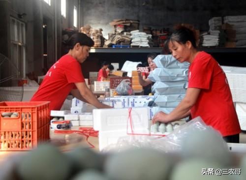 8个适宜在农村创业致富的项目,4个适合农村挣钱好项目推荐