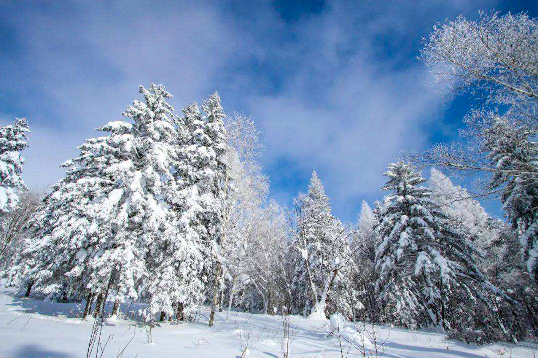 线路推荐|鲜为人知二浪河——雪乡可不是东北唯一的童话村落