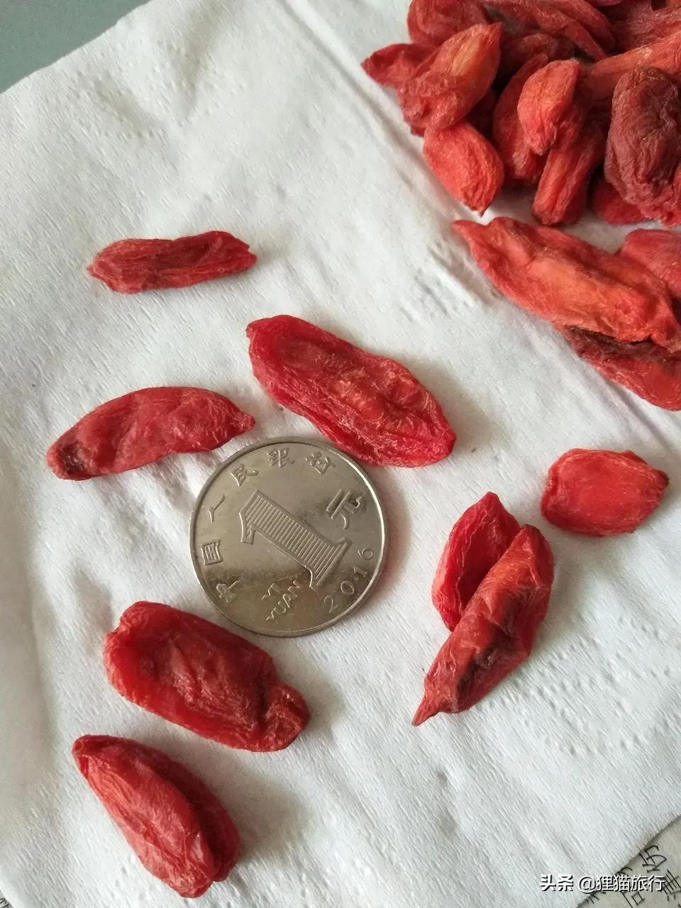 新疆的精河县,新疆精河枸杞乌鲁木齐