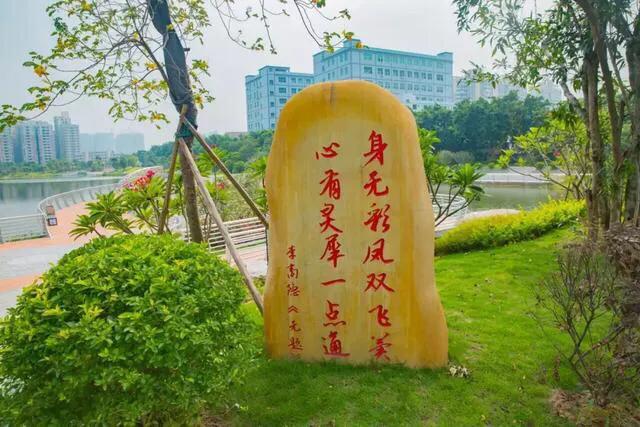 湖泊风景区推荐,深圳十大免费主题公园