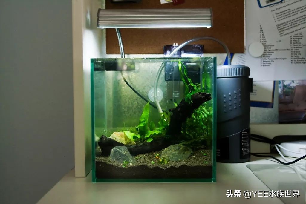 硝化细菌正确使用方法,新买的硝化细菌怎么用