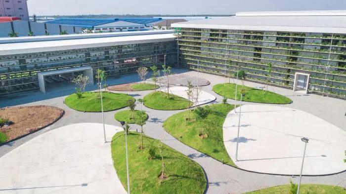 艾特奖优秀奖,艾特奖终身成就奖