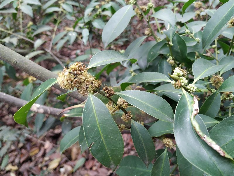 杭州市周末自驾游去哪里好玩,杭州出发周末旅游攻略