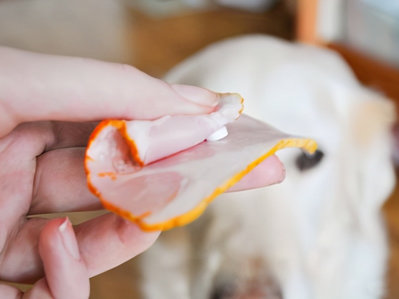 狗狗拉肚子最好的解决方法,狗拉肚子如何物理治疗