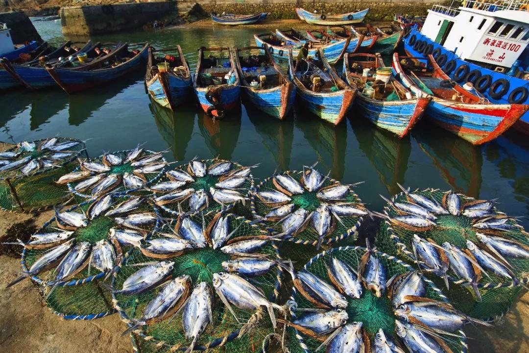 禁渔期间去海边旅游,海边禁渔期适合去旅游吗