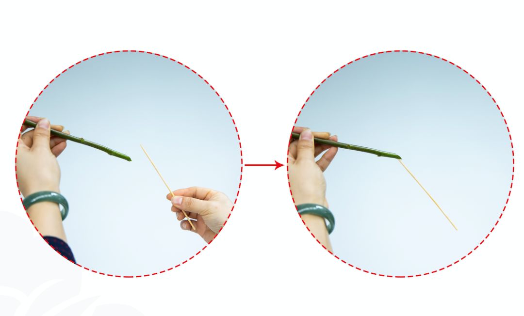 小原流旋转式插花入门知识,日式小原流直立插花图片