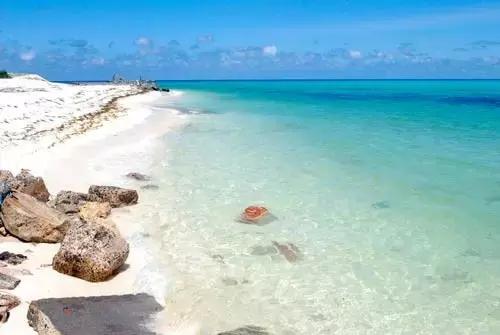 杨颖黎族海岛素颜照,海岛素颜照