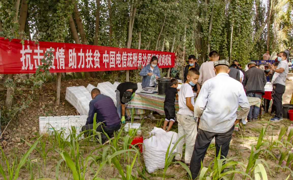 我们的生活像蜜一样甜,我们的生活如蜜甜