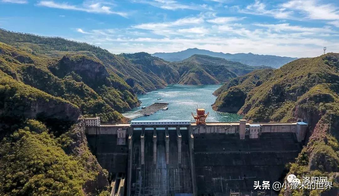 河南洛阳发布最新通知,洛阳牡丹花会向全世界发出邀请