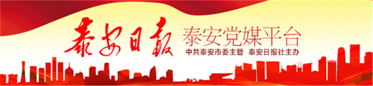 岱银集团怎么样,岱银集团分公司