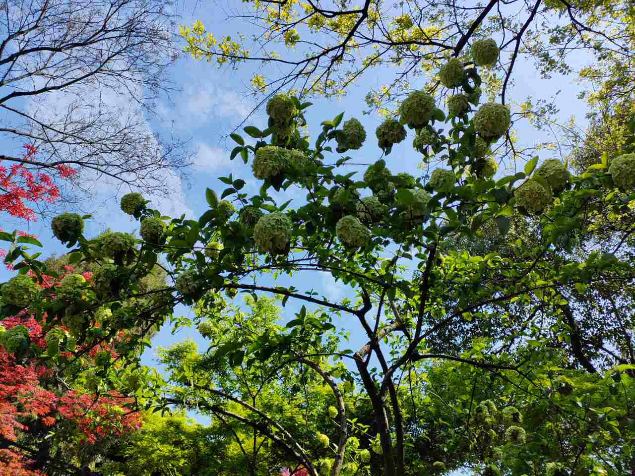 扬州这座城市给人的感觉,扬州为什么令人向往