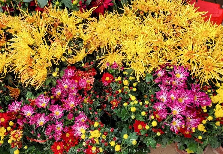 广州最值得购物的东西,广州购物攻略推荐