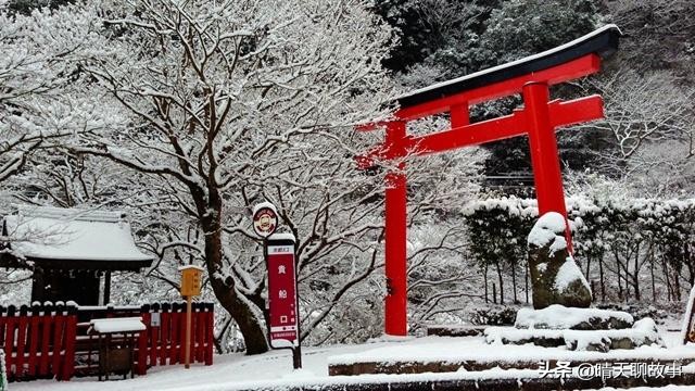 中国很廉价的食材,日本却是“奢侈品”,当地人:中国人有钱