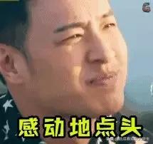 肥猫的真实样子,大家还记得这只很馋的小猫吗