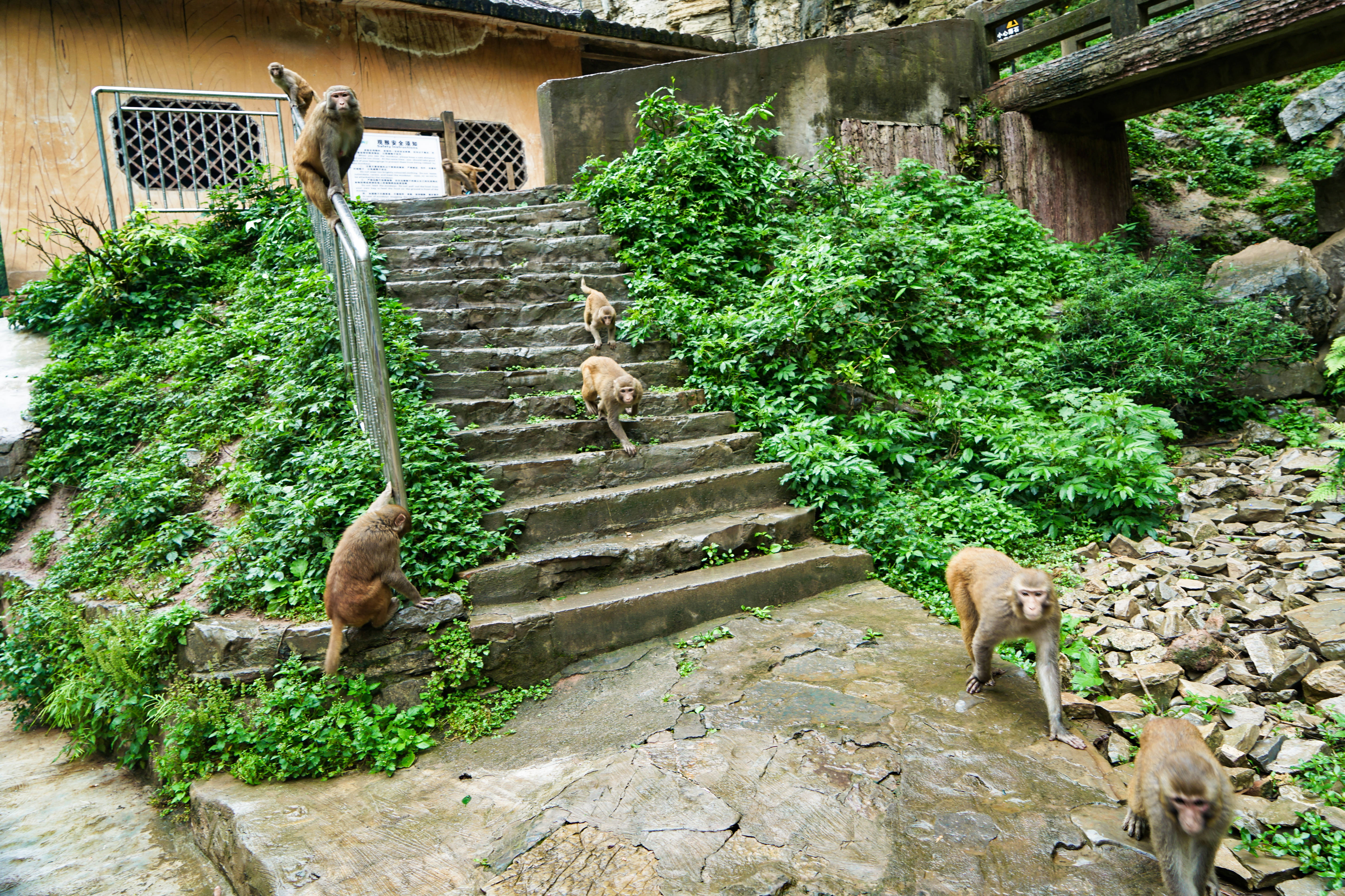 重庆周边山区哪里有温泉,重庆周边泡温泉一日游最佳景点