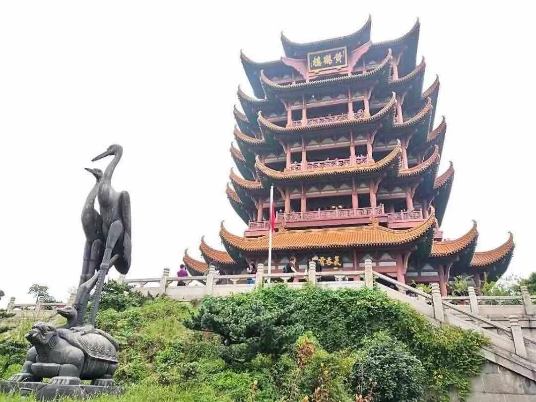 钱币收藏价值梅花五角钱,钱币收藏菊花一元2000年